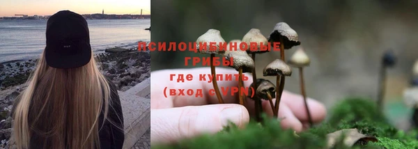 каннабис Пестово