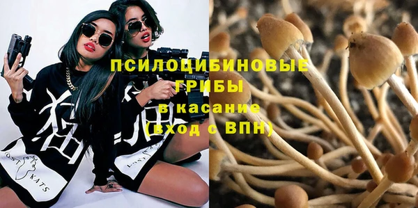 каннабис Пестово