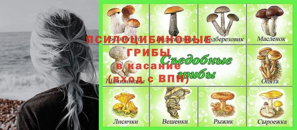крисы Осинники