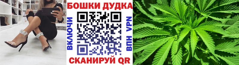 даркнет сайт Боготол Шишки марихуана планчик